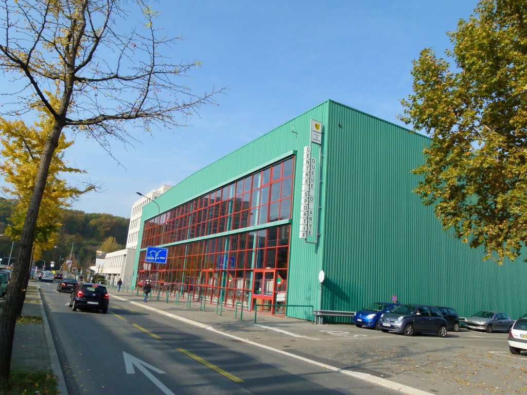 Centre sportif de la Queue d'Arve